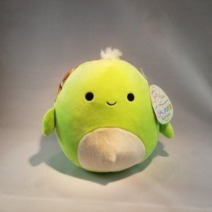 Herb the Turtle Squishmallow